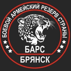 Вступай в ряды добровольцев! Защити Брянскую Землю!